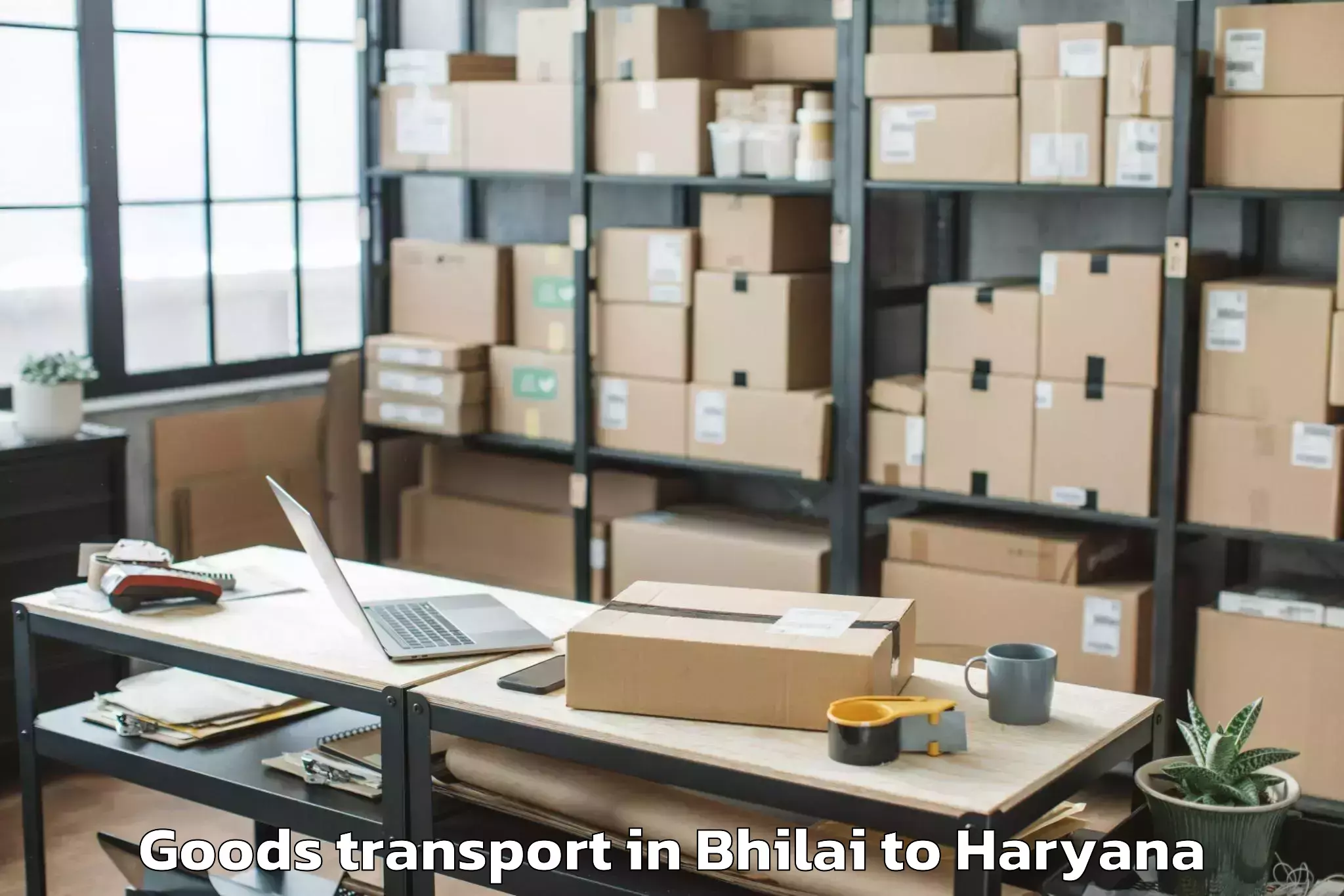 Book Bhilai to Hansi Goods Transport